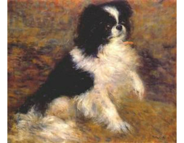 Tama the japanese dog
 by Pierre Auguste Renoir