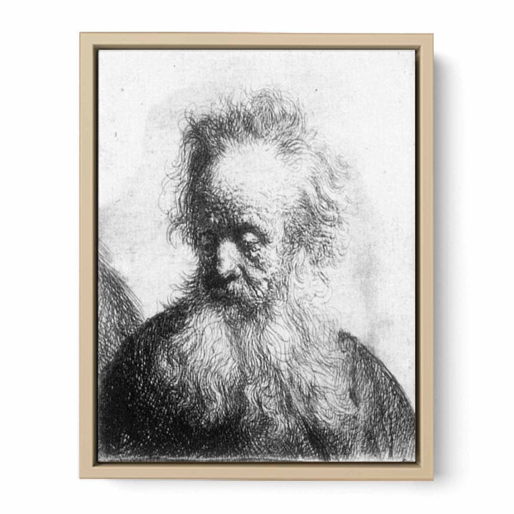 Old Man With Flowing Beard Looking Down Left 1631
 Painting