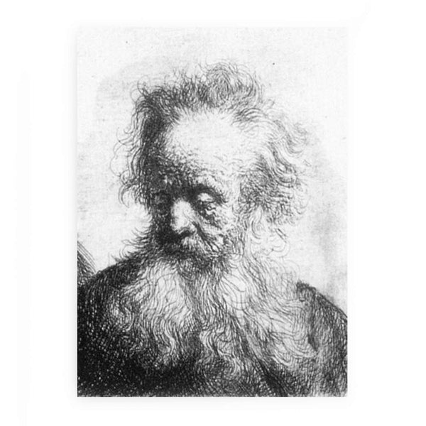 Old Man With Flowing Beard Looking Down Left 1631
 Painting