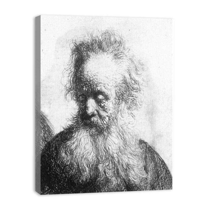 Old Man With Flowing Beard Looking Down Left 1631
 Painting