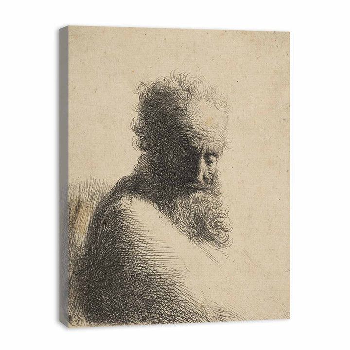 Bust Of An Old Bearded Man, Looking Down, Three Quarters Right Painting