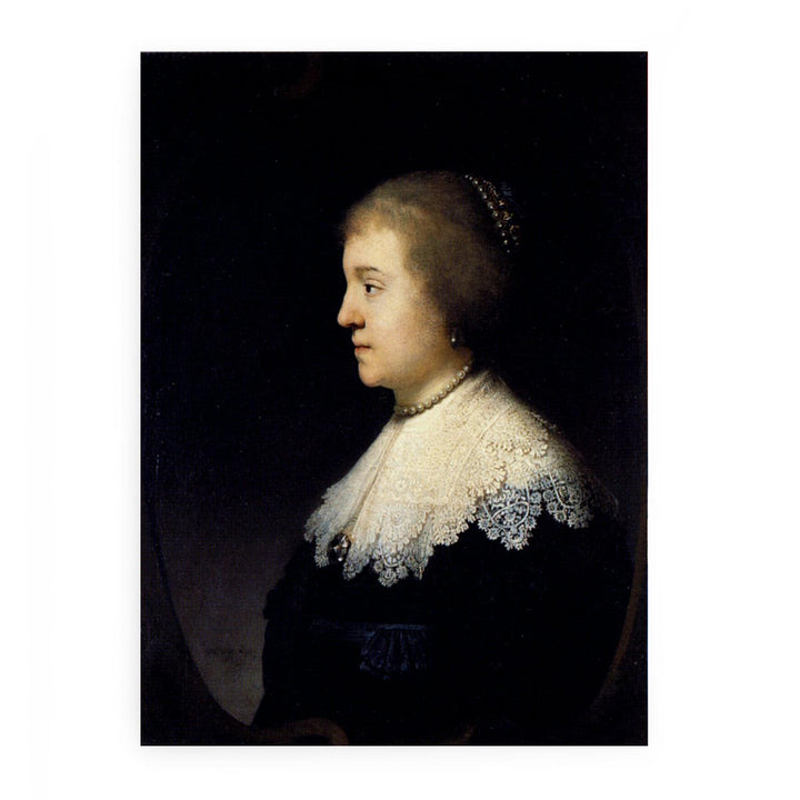 Portrait Of Amalia van Solms
 Painting