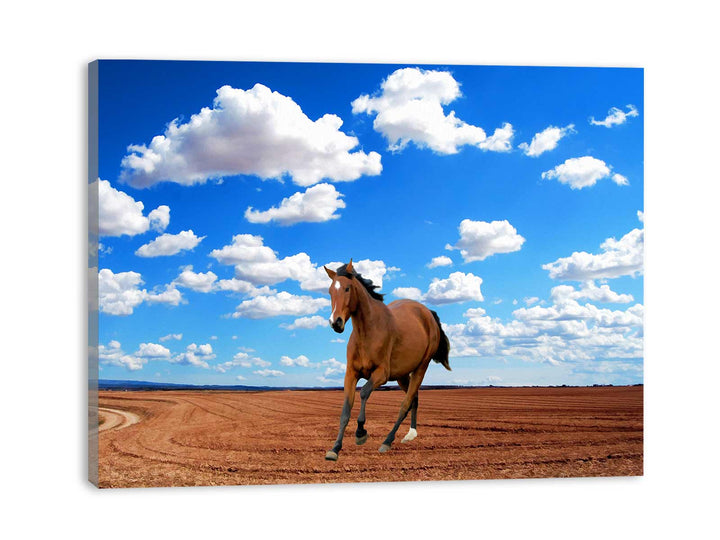 Walking Horse Painitng 