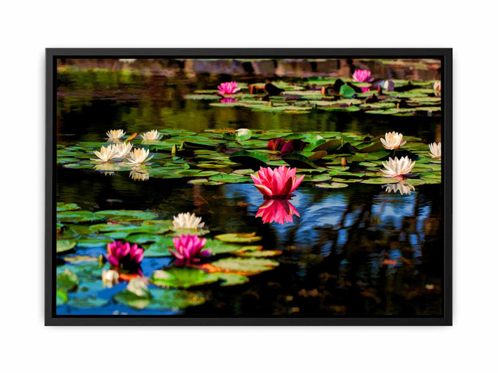 Lily flower in Pond Painting 