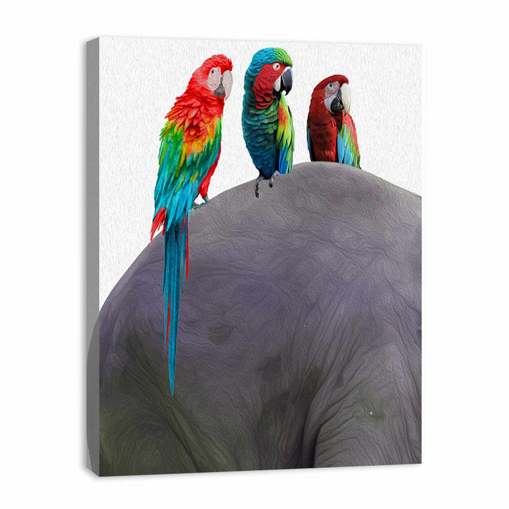 Australian Parrot Painting 