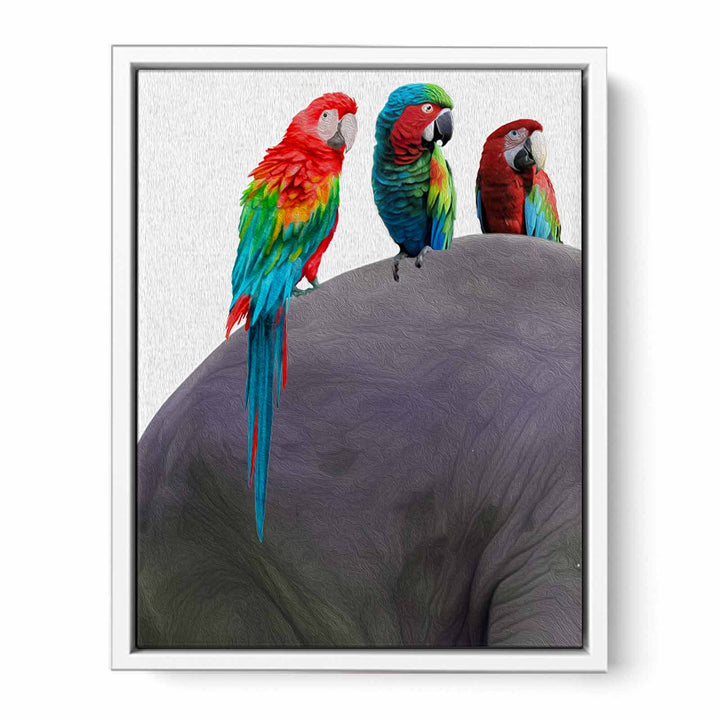 Australian Parrot Painting 